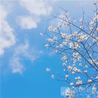 新世纪棋牌app下载截图